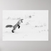 Jagen Red Fox Zwart-wit Fotografie Poster (Voorkant)