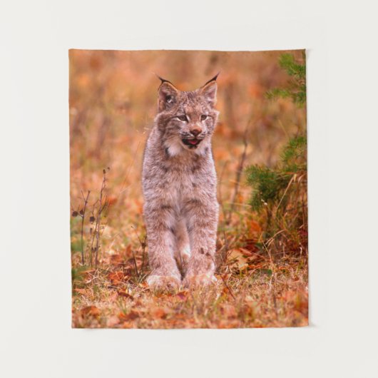 Jagen van een rode lynx | Herfstbos Wandkleed (Voorkant)