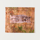 Jagen van een rode lynx | Herfstbos Wandkleed (Voorkant (horizontaal))