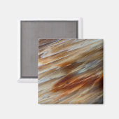 Jagged Petrified Wood Magneet (Voorkant / Achterkant)