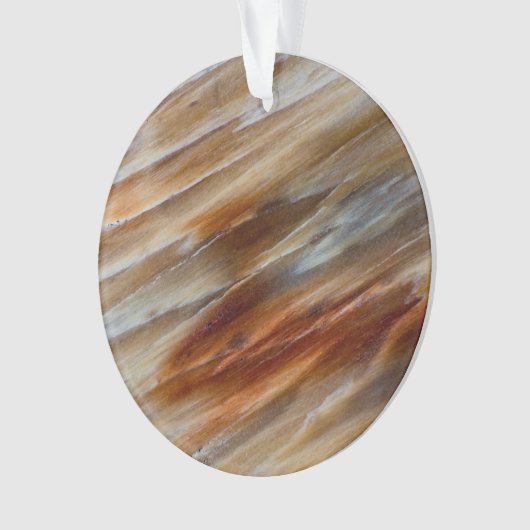 Jagged Petrified Wood Ornament (voorkant)