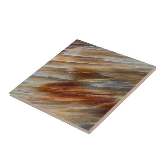 Jagged Petrified Wood Tegeltje (Zijkant)