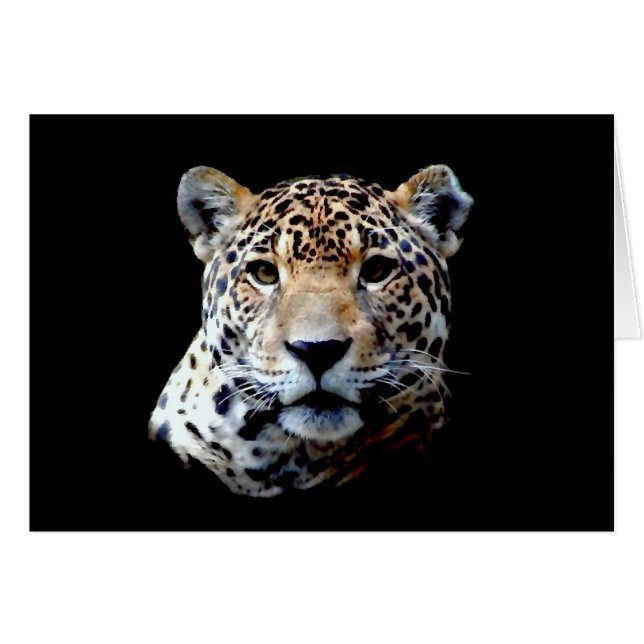 Jaguar (Voorkant Horizontaal)