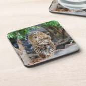 Jaguar20150501 Drankjes Onderzetter (Linkerzijde)