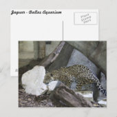 Jaguar # 10 briefkaart (Voorkant / Achterkant)