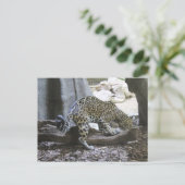 Jaguar # 18 briefkaart (Staand voorkant)