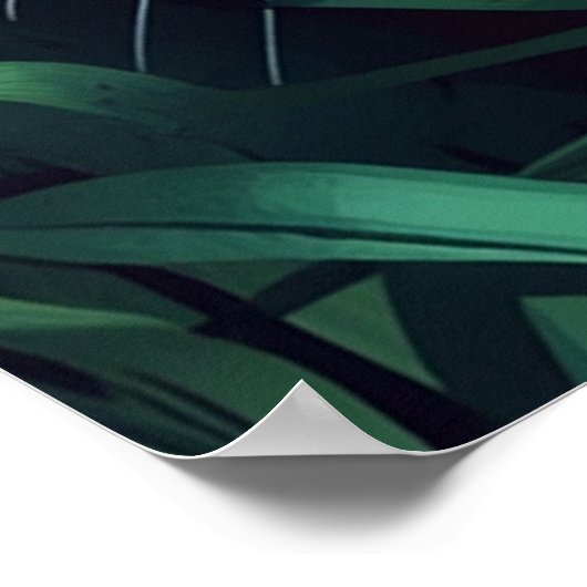 JAGUAR #1 POSTER (Hoek)