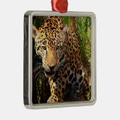 Jaguar Adolescent Metalen Ornament (Rechts)