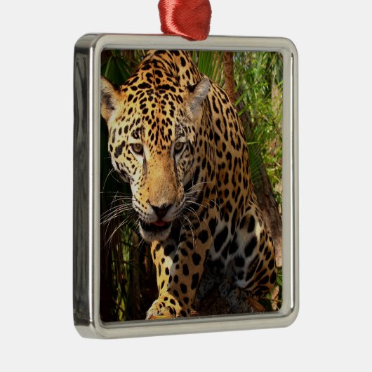 Jaguar Adolescent Metalen Ornament (Rechts)