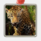Jaguar Adolescent Metalen Ornament (Voorkant)