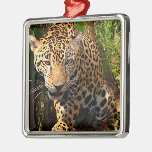 Jaguar Adolescent Metalen Ornament (Links)