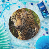 Jaguar Adolescent Papieren Bordje (Feest)