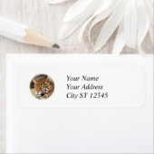 Jaguar Adreslabel Etiket (Insitu)