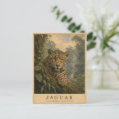Jaguar Amazon Regenwoud VINTAGE Briefkaart (Staand voorkant)