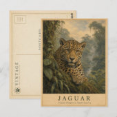 Jaguar Amazon Regenwoud VINTAGE Briefkaart (Voorkant / Achterkant)