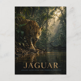 Jaguar Amazoneregenwoud DIEREN Briefkaart