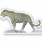 jaguar-animal-cat-wild-oerwoud sticker (Voorkant)