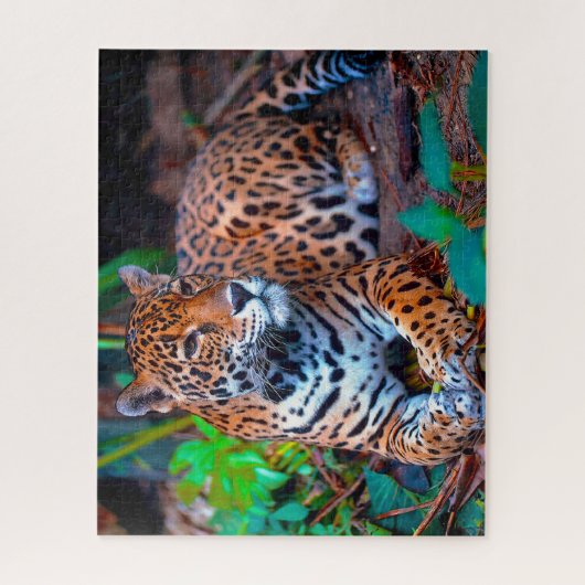 Jaguar Big Cats. Legpuzzel (Verticaal)
