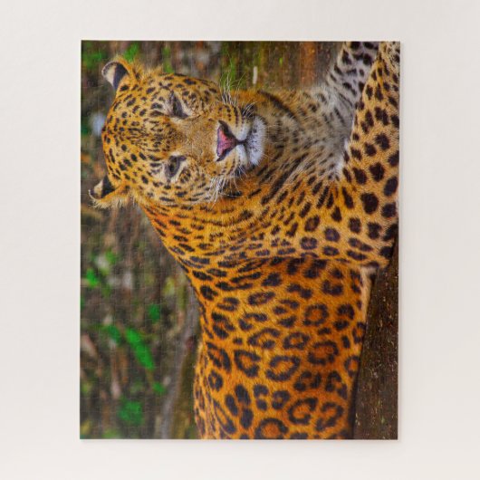 Jaguar Big Cats. Legpuzzel (Verticaal)