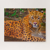 Jaguar Big Cats. Legpuzzel (Horizontaal)
