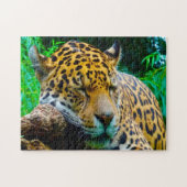 Jaguar Big Cats. Legpuzzel (Horizontaal)
