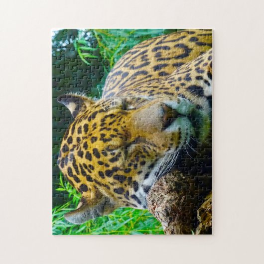 Jaguar Big Cats. Legpuzzel (Verticaal)