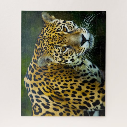 Jaguar Big Cats. Legpuzzel (Verticaal)