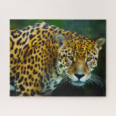 Jaguar Big Cats. Legpuzzel (Horizontaal)