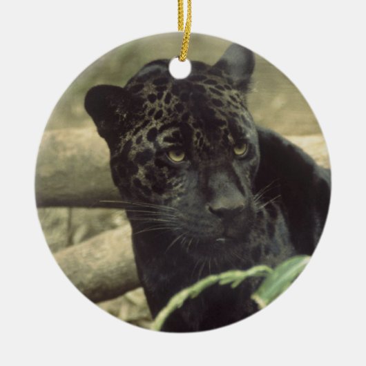 Jaguar Black Panther Art Keramisch Ornament (Voorkant)