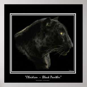 Jaguar, Black Panther Big Cat Art Print
