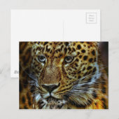 Jaguar Briefkaart (Voorkant / Achterkant)