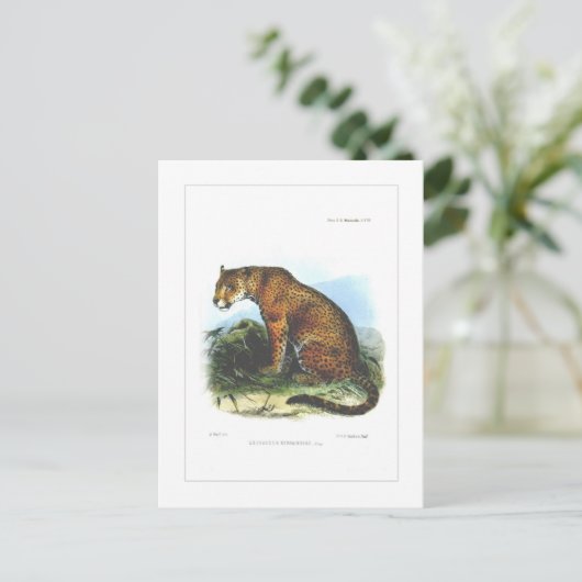 Jaguar Briefkaart (Staand voorkant)