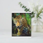 Jaguar Briefkaart (Staand voorkant)