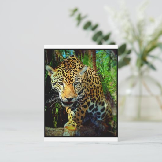 Jaguar Briefkaart (Staand voorkant)