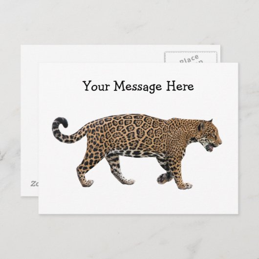 Jaguar Briefkaart (Voorkant / Achterkant)