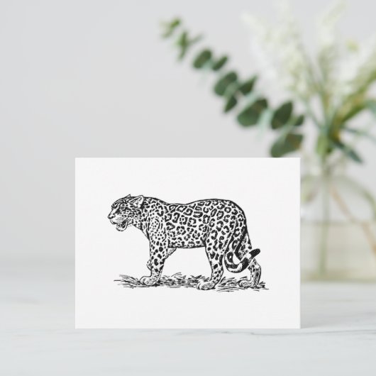 Jaguar Briefkaart (Staand voorkant)