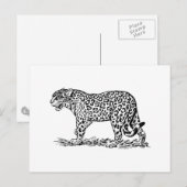 Jaguar Briefkaart (Voorkant / Achterkant)