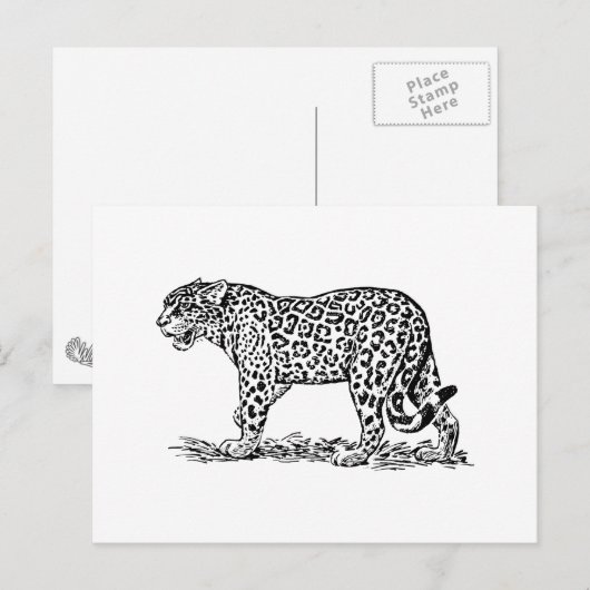 Jaguar Briefkaart (Voorkant / Achterkant)