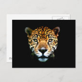Jaguar Briefkaart (Voorkant / Achterkant)