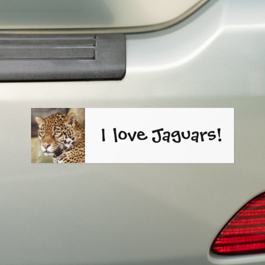 Jaguar Bumpersticker (Op auto)