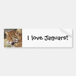 Jaguar Bumpersticker