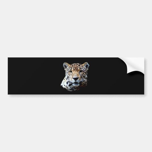 Jaguar Bumpersticker (Voorkant)
