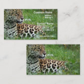 Jaguar Cat Visitekaartje (Voorkant / Achterkant)