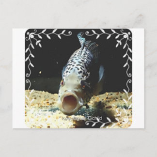 Jaguar Cichlid Briefkaart