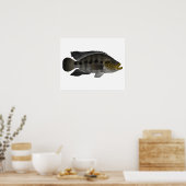 Jaguar Cichlid Poster (Keuken)