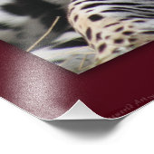 Jaguar Classic Print -20x24 - andere formaten besc Foto Afdruk (Hoek)