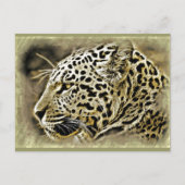 Jaguar Closeup Briefkaart (Voorkant)