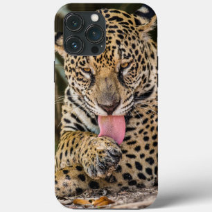 Jaguar Cub Hoesje-Mate iPhone case