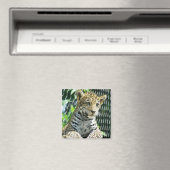 Jaguar Cub Magneet (Insitu (Vaatwasser))