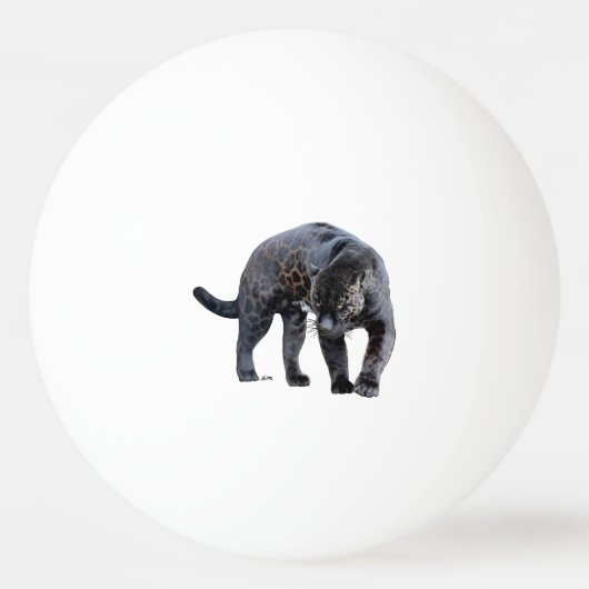 Jaguar Diablo 1 ster pingpongbal (Voorkant)